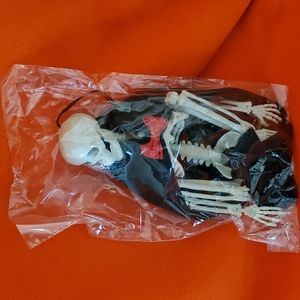 Halloween skeleton decoration